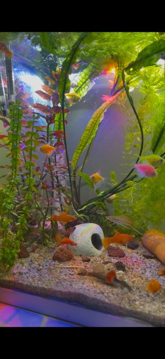 Продам аквариум 150литр и 40 литр
