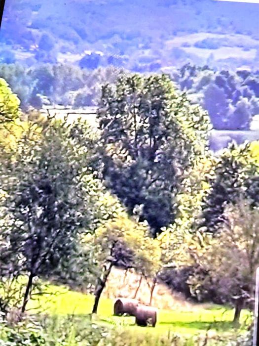 CASA   cu panorama si teren generos