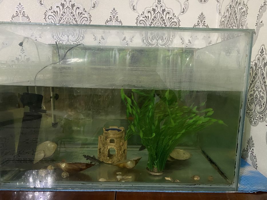 Продам аквариум