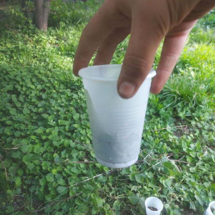 Черви выползки мощные