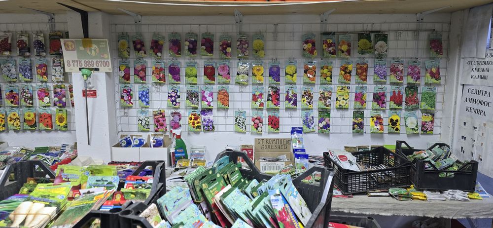 Семена распродажа