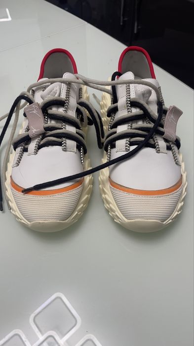 Vand Giuseppe Zanotti Urchin