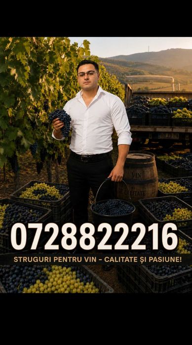Struguri pentru vin productie 2026