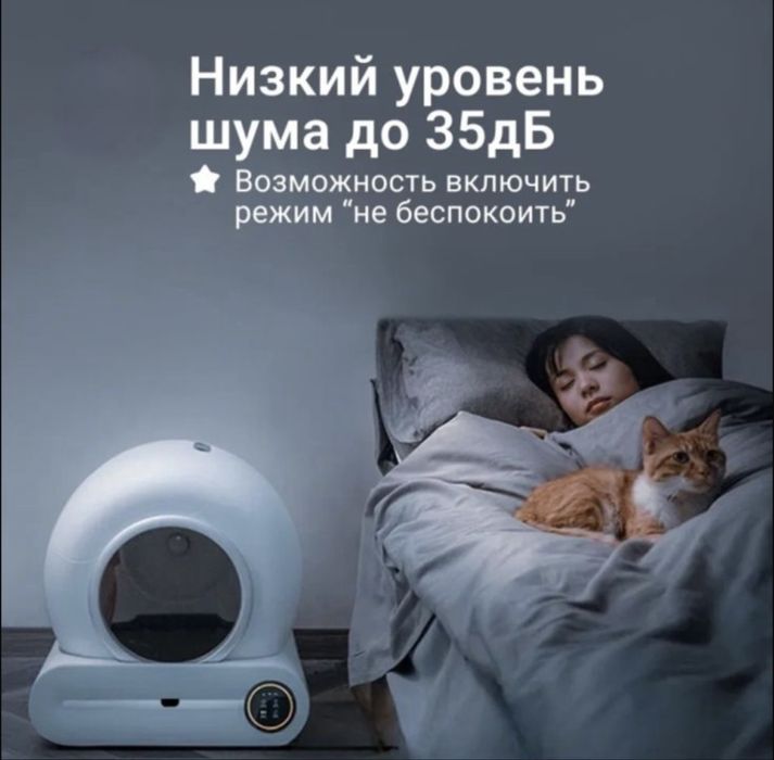 Лоток для Котиков