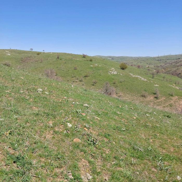 Земельный участок в Тюлькубасском районе