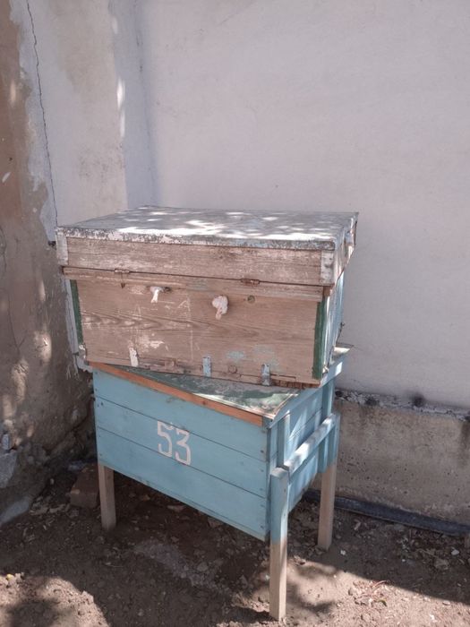 Medagon bilan yashik