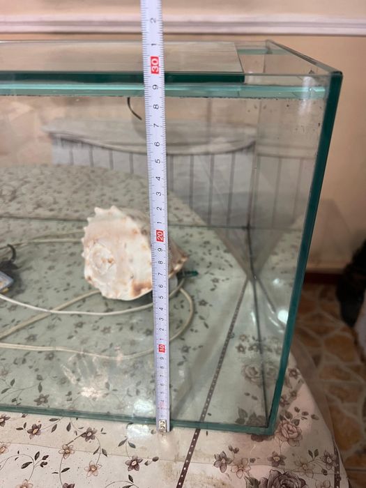 Аквариум для животных