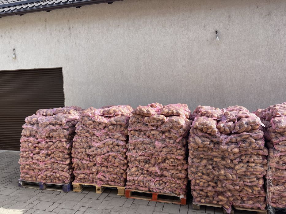 Vand cartofi noi Grecia