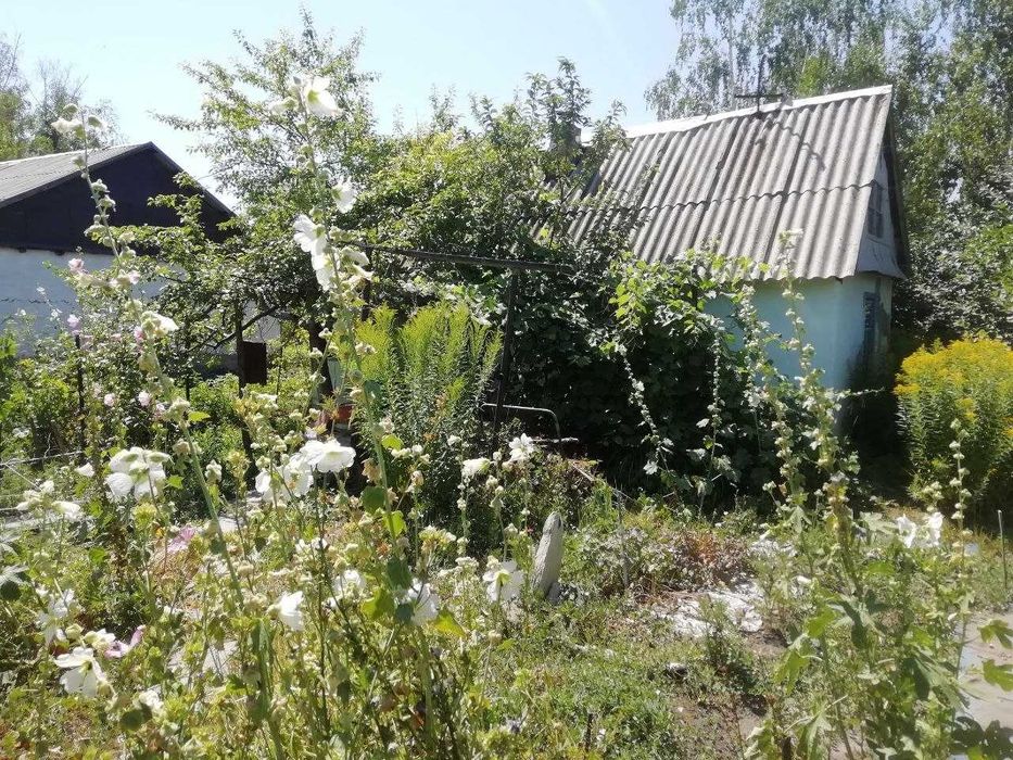 Продам дачу 11 соток в Согре