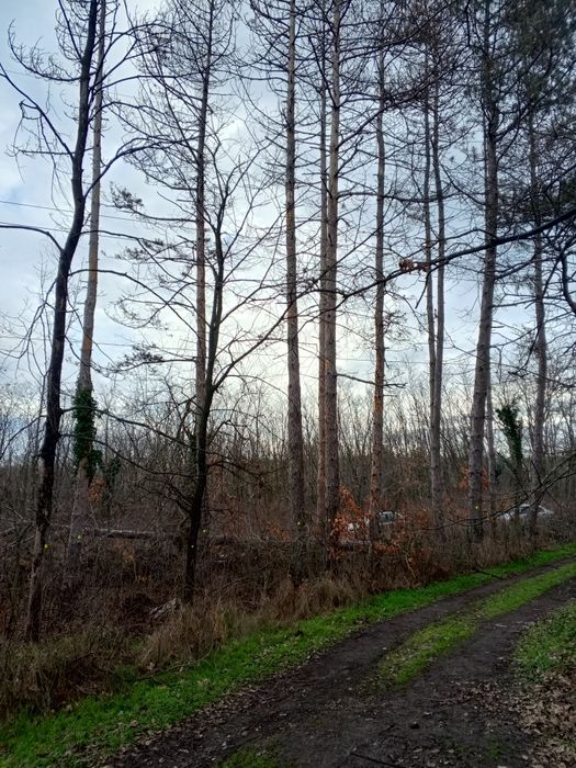 Продавам Боров материал  10кубика