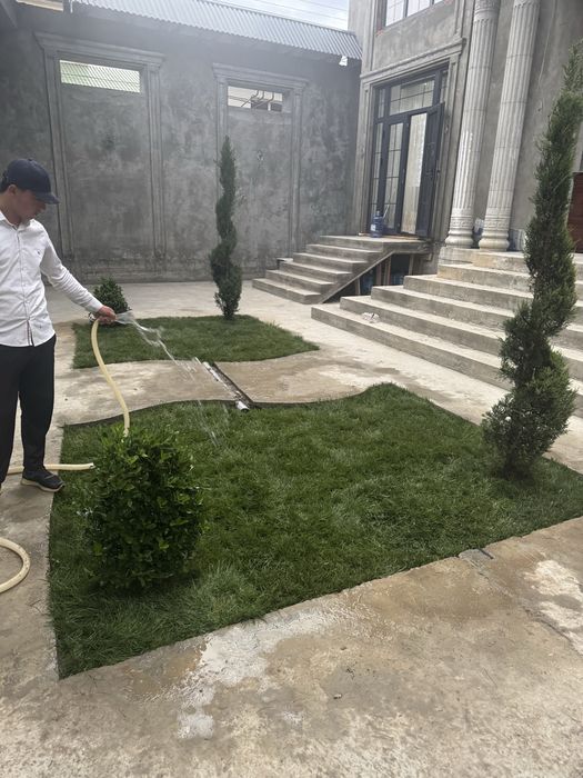 Gazon tayor  rulon  landshft dizyin xizmatlri dorilash xizmati