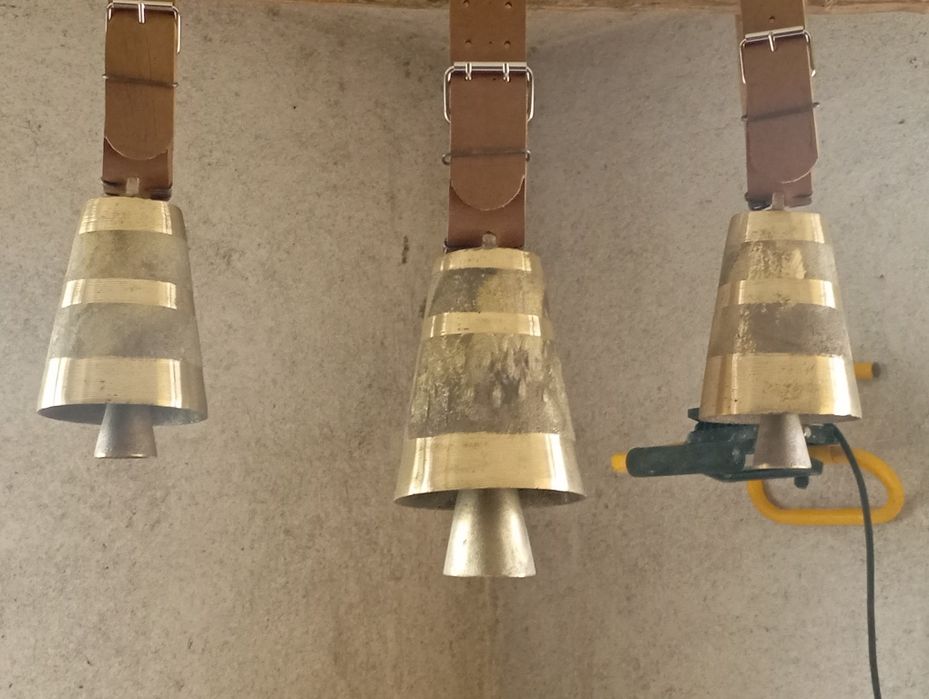 Чанове Звънци с каишки