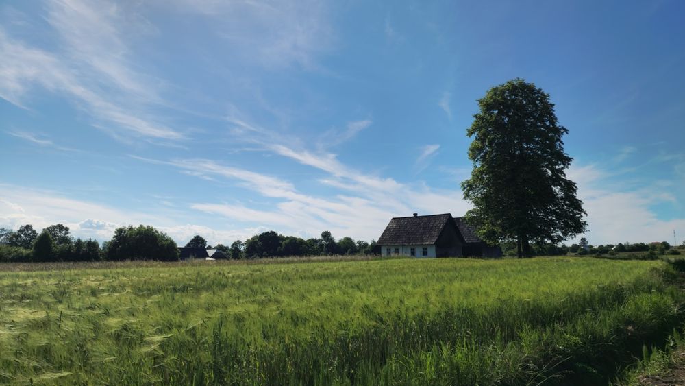 Teren intravilan si casa traditionala in Horodnic de Jos