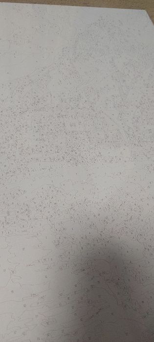 Tablou Pictura pe numere