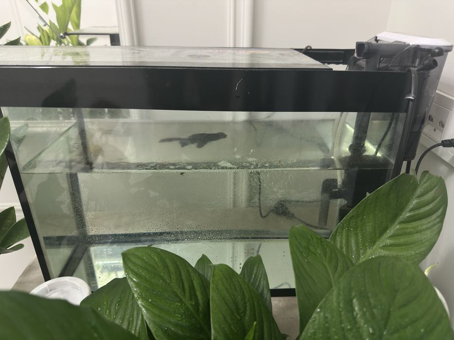 3 Аквариума с рыбами и филтрами