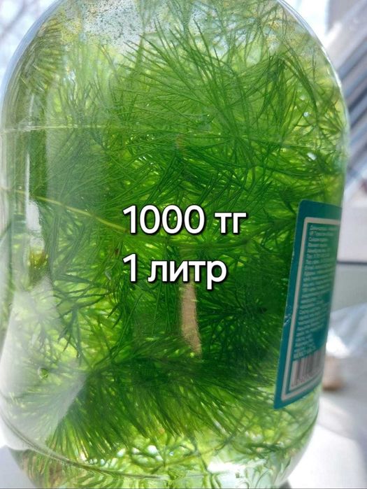 фильтр для аквариума