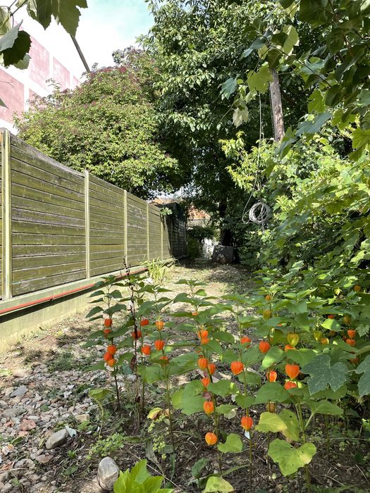 Casa de vanzare, Zona Grigorescu, Piata 14 Iulie, [NU Oradea, Sibiu] ClujNapoca • OLX.ro