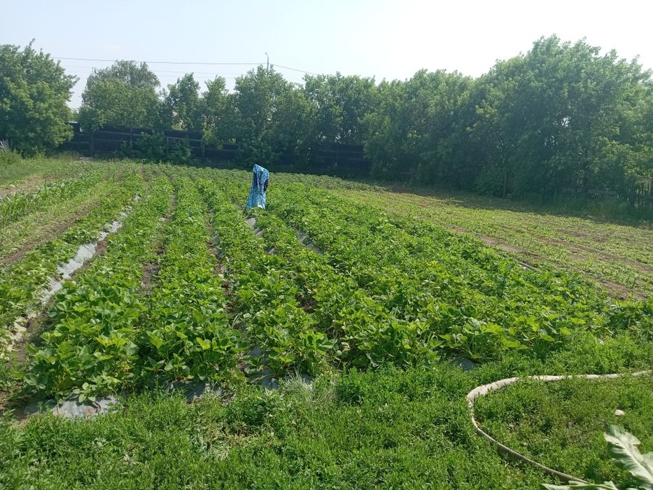 Продам  2 дома каждый