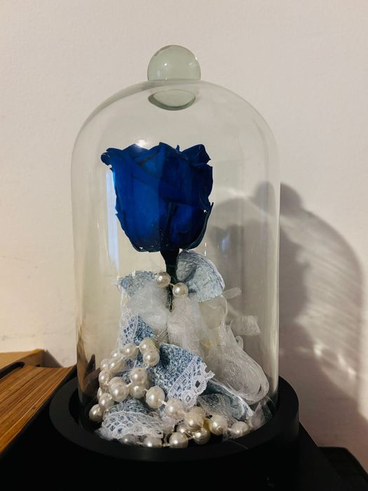 Cadou Tradafir Criogenat Naturali Facut Manual