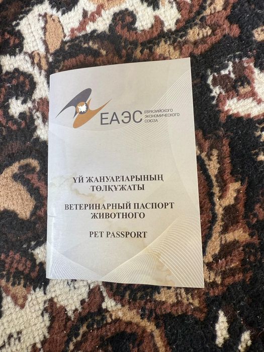 Западно сибирская лайка