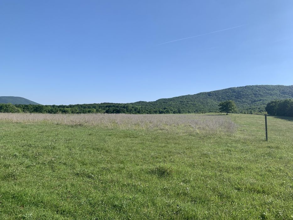 Продавам цял терен от 20 дка земеделска земя до Царево