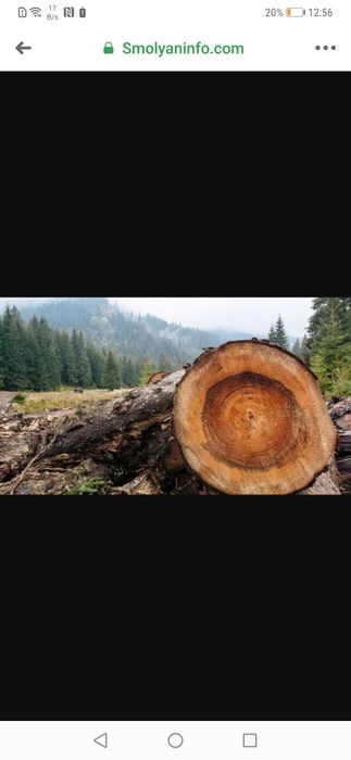 Рязане на дърва почистване на дворове косене