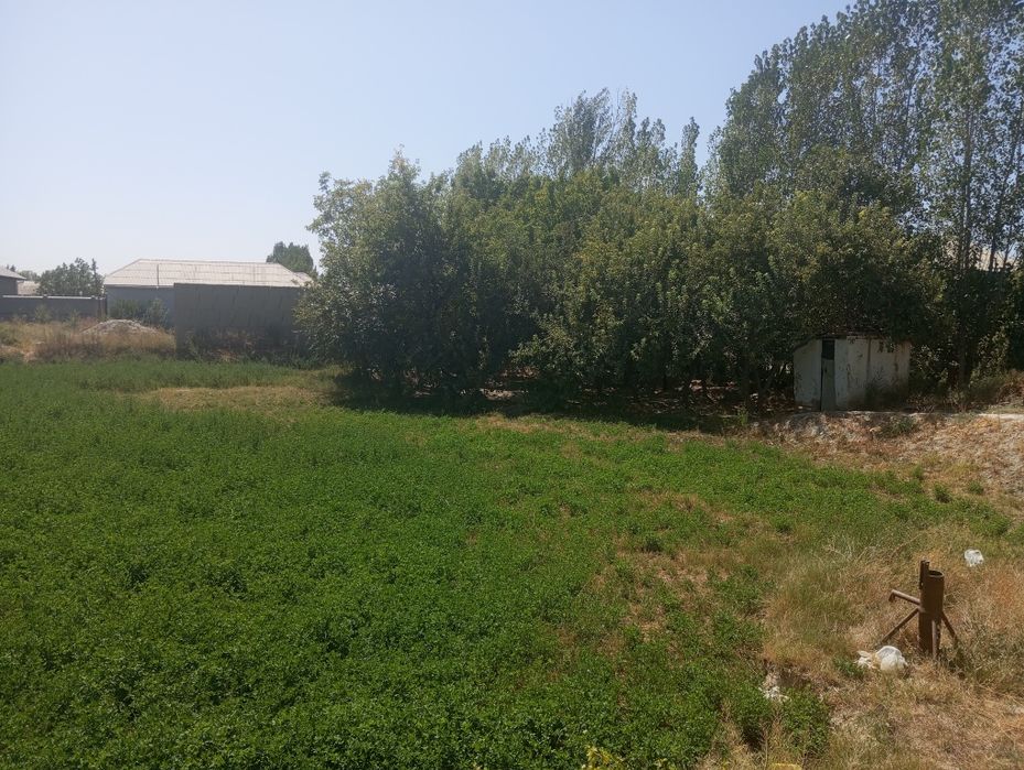 12 сотих Ховли сотилади..