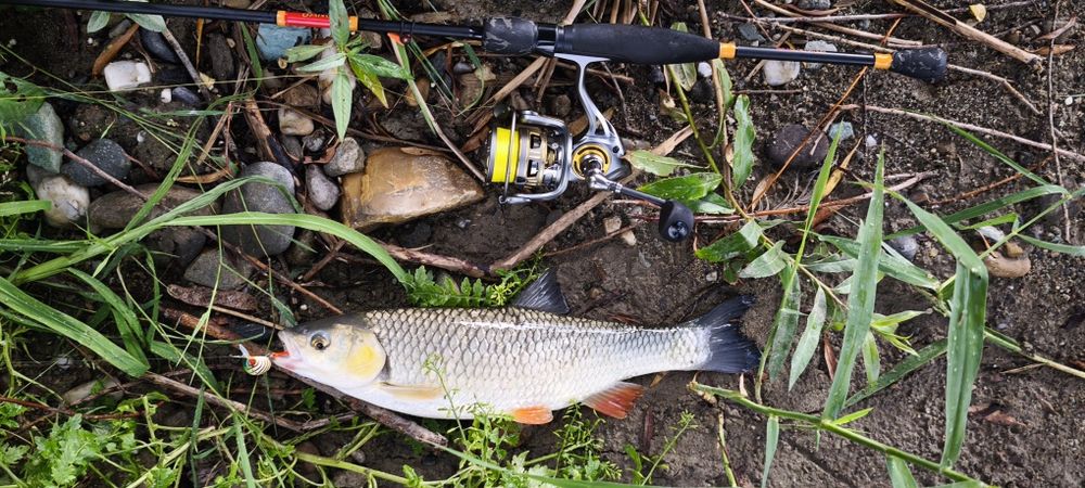 Vând lansete spinning – Delphin, Abu Garcia, Berkley, Jaxon, Caperlan
