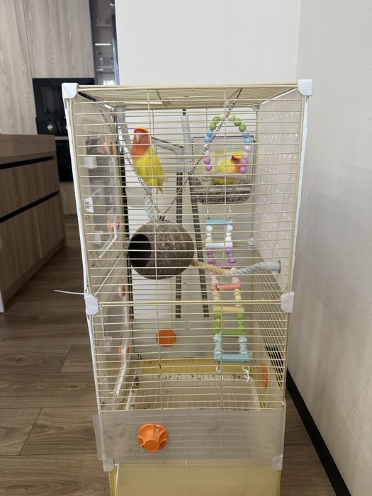 Клетка для попугаев
