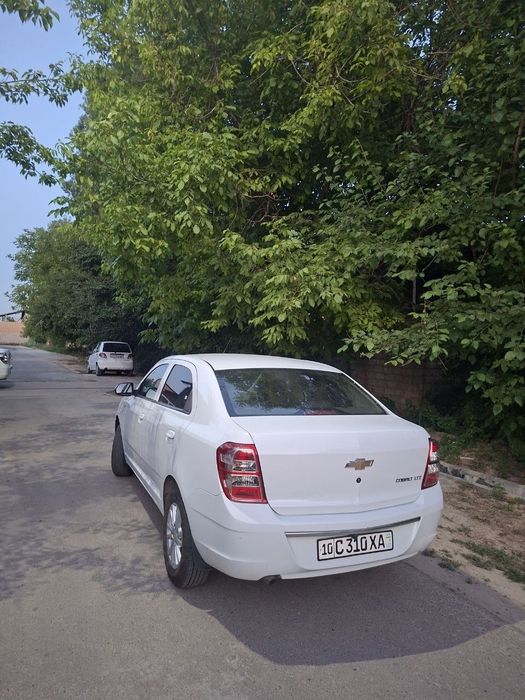 Kobilt 2021 yil bezdan yurgan