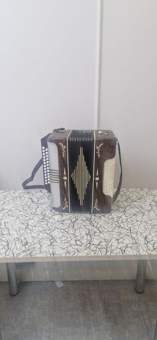 Баян - гормонь, гормошка