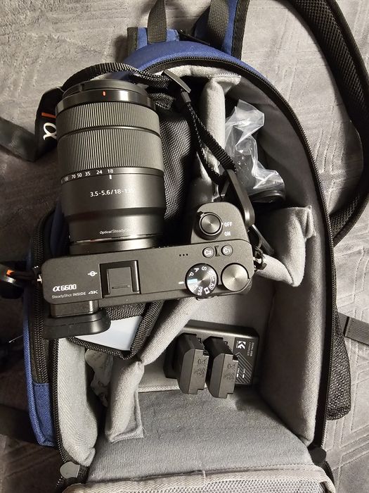 Sony alpha 6600...