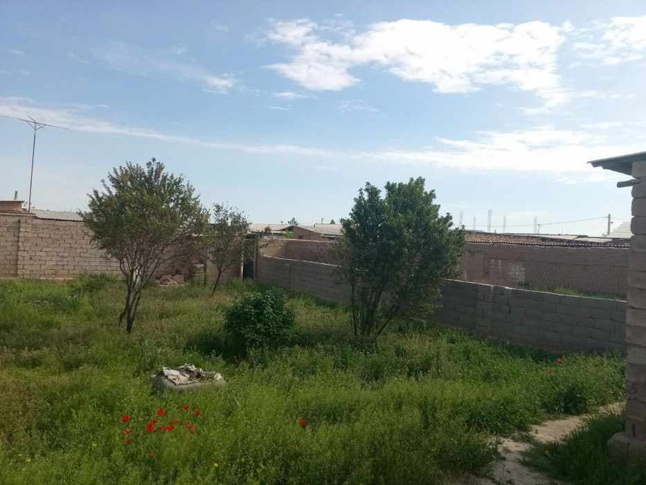 Tez kunda yer sotiladi