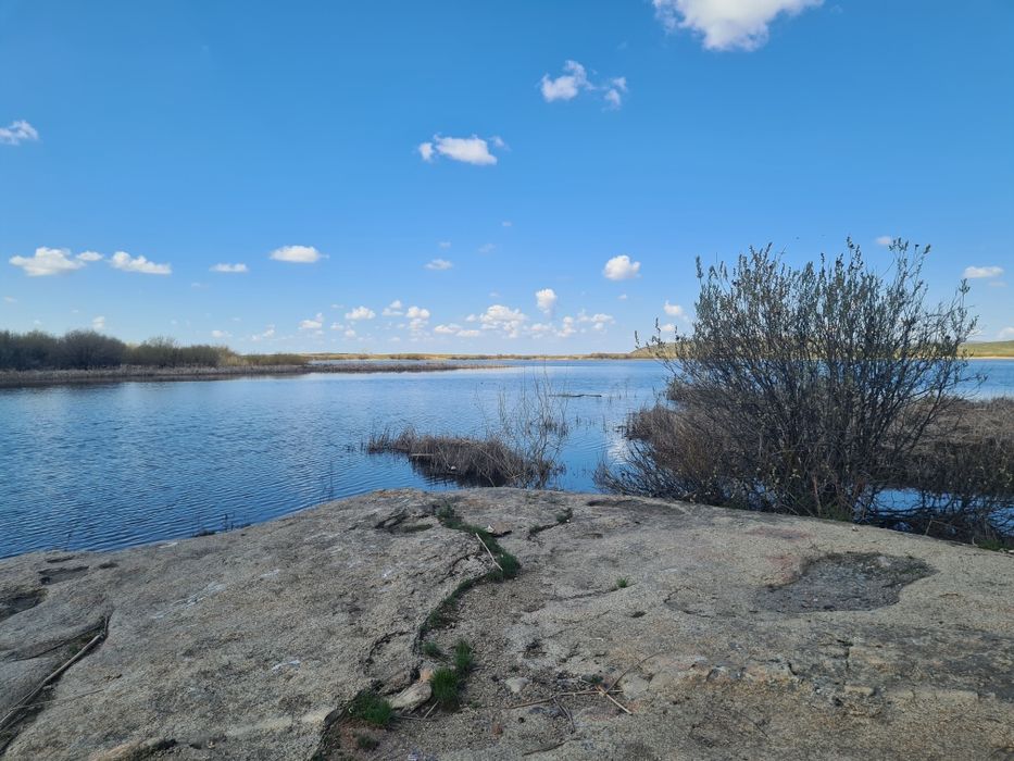 Продаётся платина.