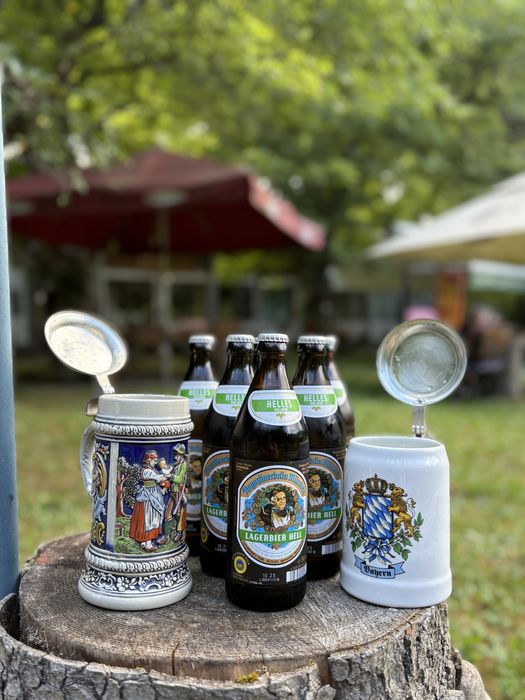 Cabană Revelion 2025 Văliug - Semenic