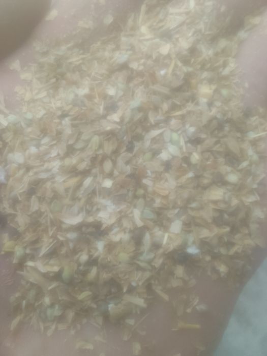 Отходы Полова Колоски