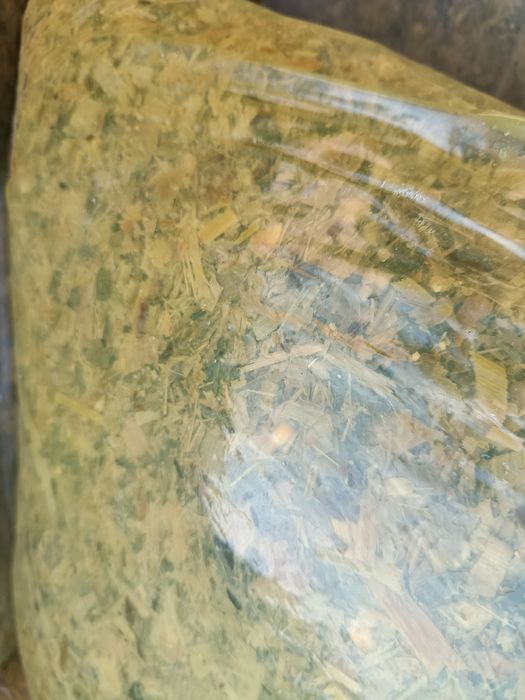 Silos senaj sotilidi  20kg qopda