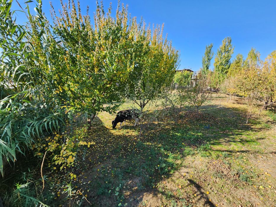 Qurilib bitmagan uy !