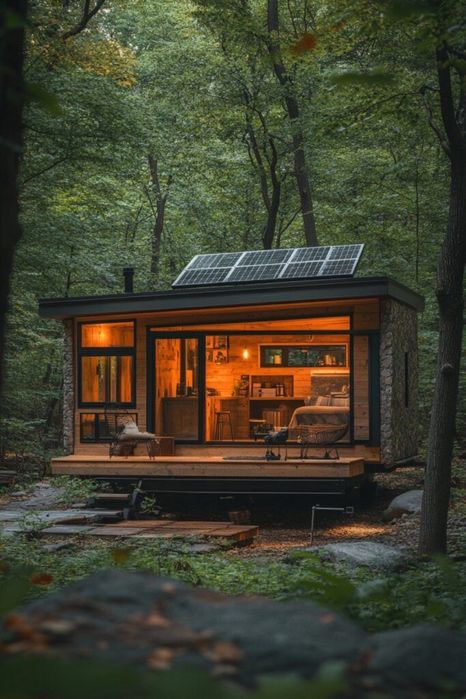 Pădure Pin Roșu | Geoparcul UNESCO Ținutul Buzăului