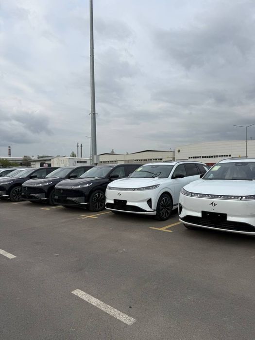 Dongfeng 008 full 2026 Yil