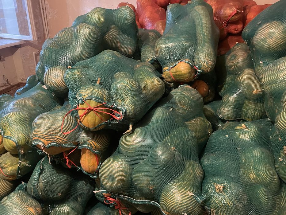 Тыква в караганде