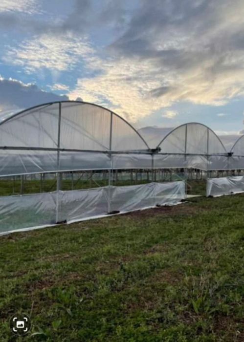 Оранжерия подцинкована