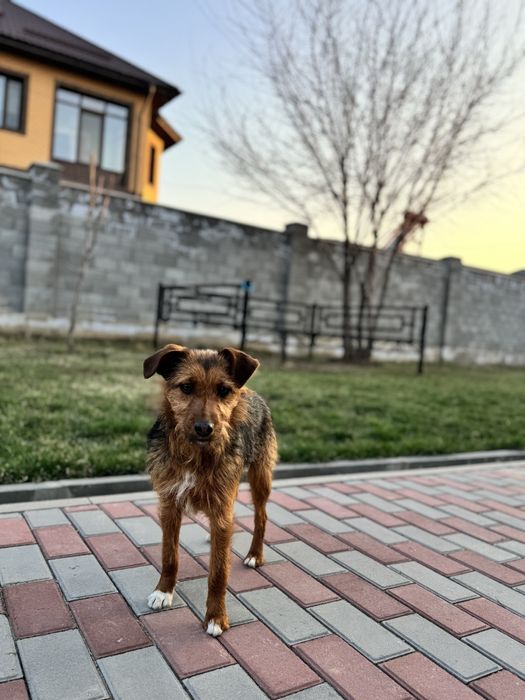 Девочка Евочка ищет любящую семью