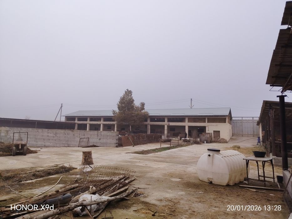 Ferma Yangi yo'lda sotildi Hamroqulda