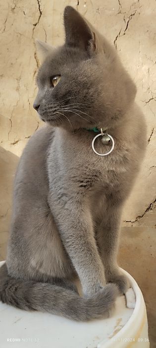 Video kompilyatsiyasi tugallandi