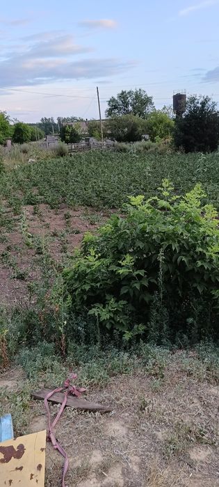Продам отдельно стоящий дом