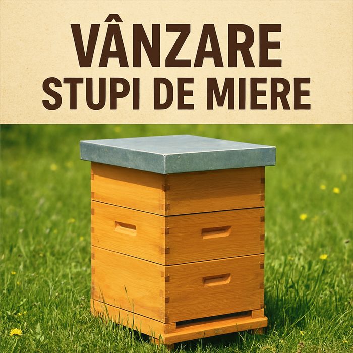 Vand Stupi Miere