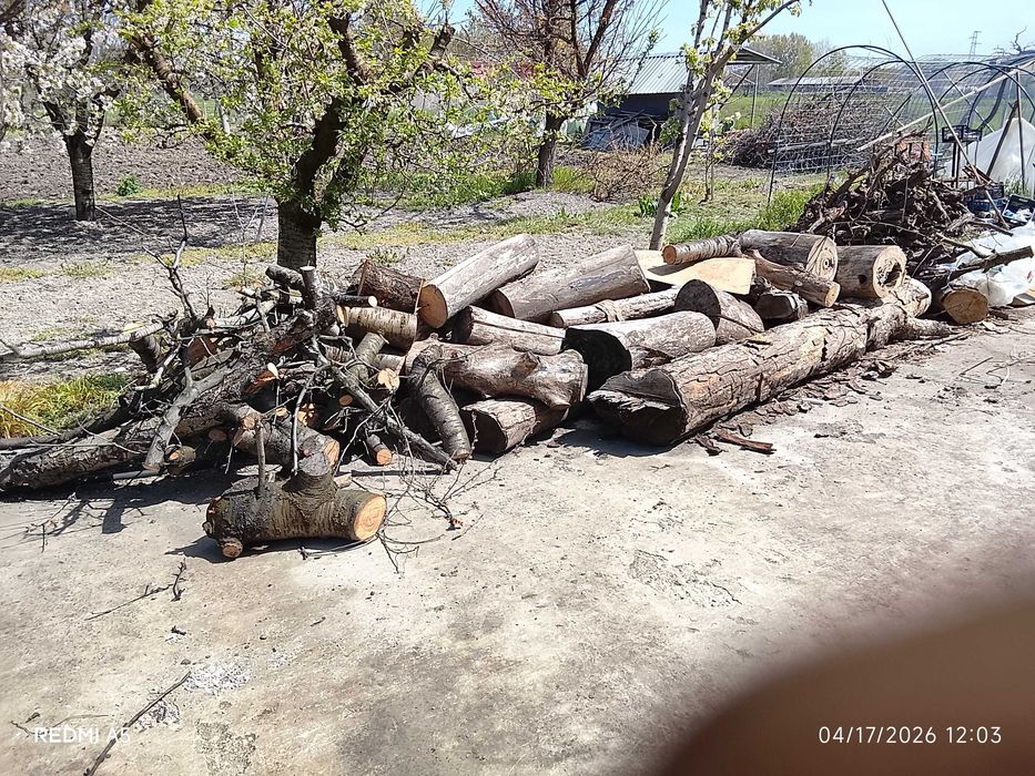 Дърва за огрев 8 кубика