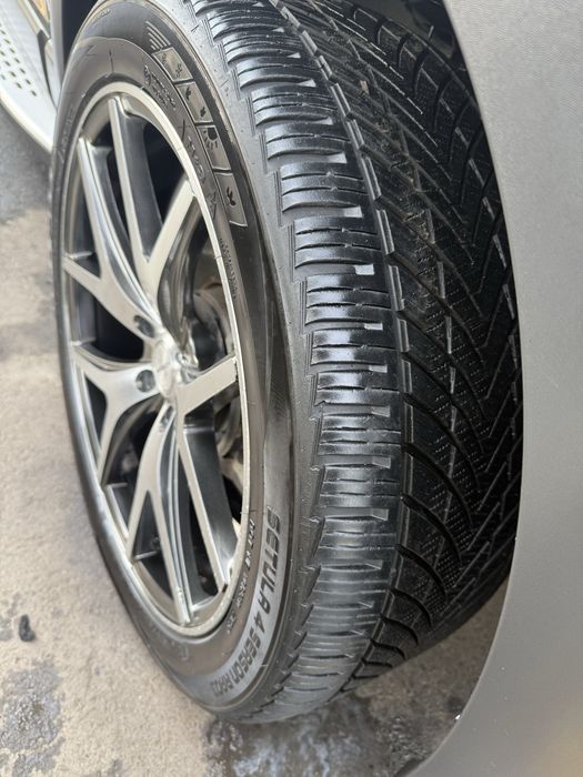 Captiva 24 kraska tozza