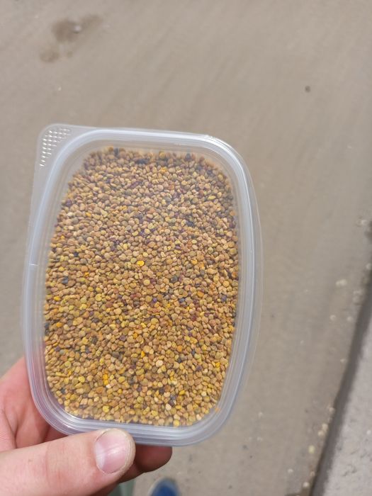 Продам мед, пыльцу, ващину.